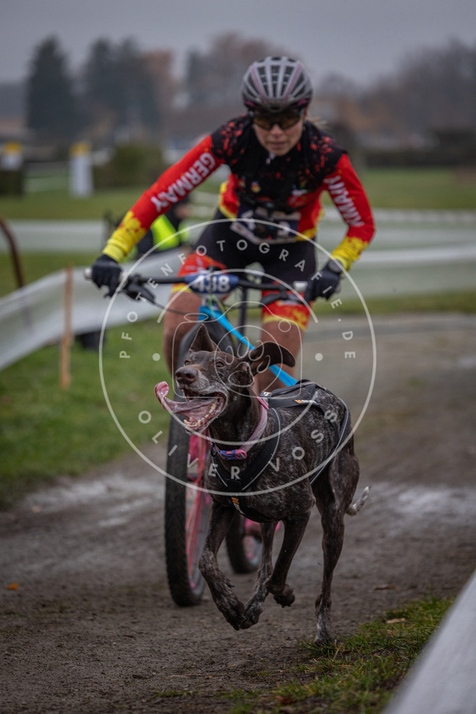 CaniXpix_0L8A1144 | Hundefotografie, Tierfotograf, Pfotenfotografie, Fotoshooting Hund, Hunde Portrait, Hundesport, Hundeportraits, Heideshooting, Hunde, Sportfotograf, Hundefotograf, Turnierhundsport, THS,  - Realisiert mit Pictrs.com