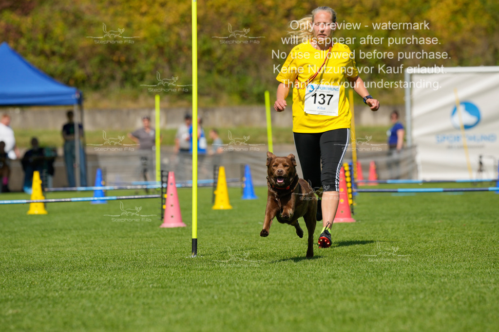 Samstag_Hürden (454 von 1617) | stephaniefillaphotographie - Realisiert mit Pictrs.com
