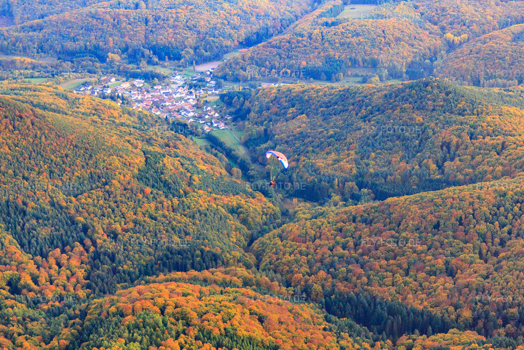 Luftbild: Herbst im Pfälzerwald mit Gleitschirm in Waldhambach im Bundesland Rheinland-Pfalz in Deutschland. Foto: IMG_54011.jpg vom 20.10.2012 durch Werner Riehm/FLY-FOTO.de