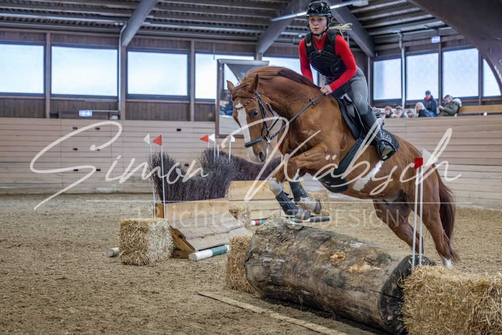 20260221-_3LI9027 | Tierfotografie Pferde, Hunde, Katzen, Haustiere.
Turnierfotografie Reitturniere, Reiten, Springreiten, Dressur in Hanau, dem Main-Kinzig-Kreis und dem Rhein-Main- Gebiet um Frankfurt