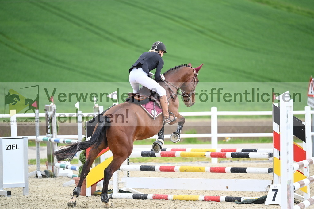DSC_0672 | equestrian-live-com