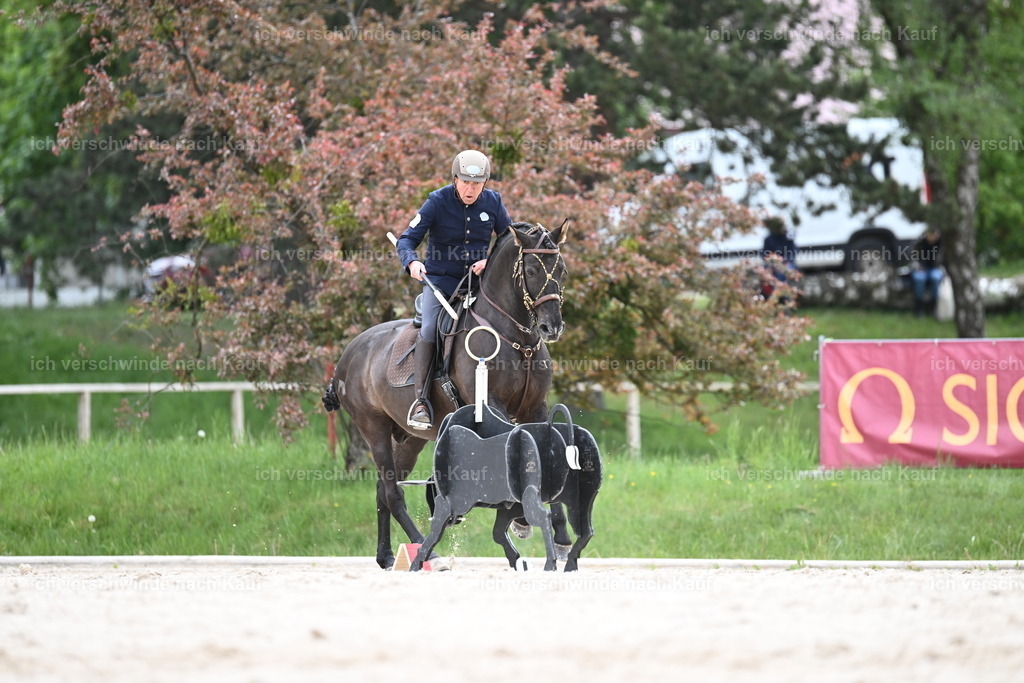PI26_ST_Sara_Landvogt226_3120.JPG | working equitationturnier fotograf videograf stoibphotography marixx film working equitation deutschland reitsport turnierfotografie eventfotografie equestrian events