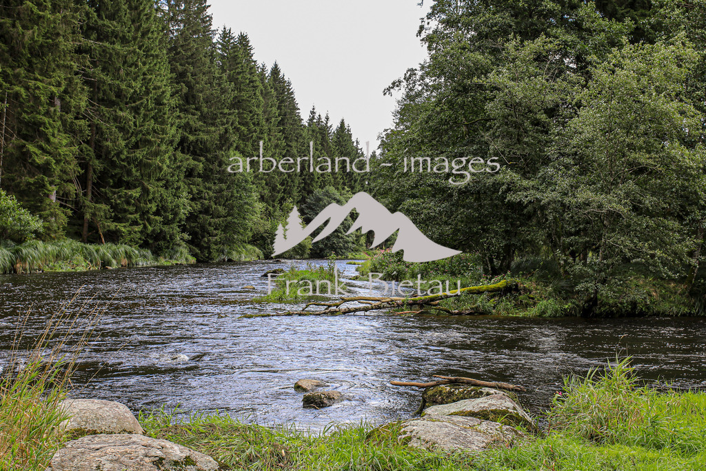 OE7A6777 | die Flusslandschaft am Regen im Bayerischen Wald wird auch als Bayerisch Kanda bezeichnet
