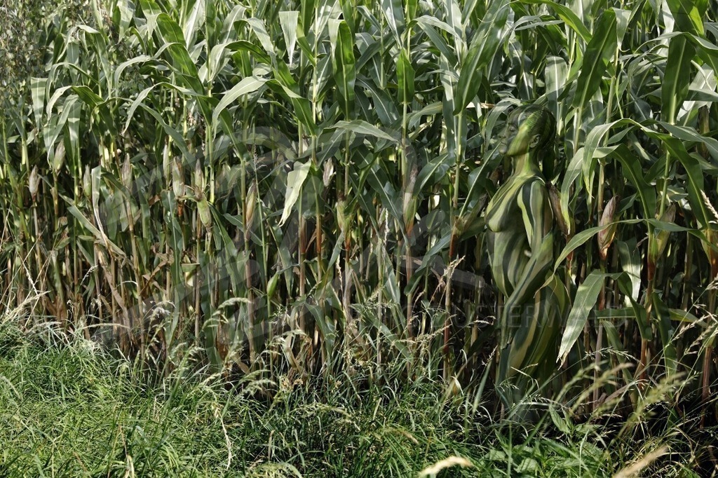 AgrarArt-MAISFELD_6211 | #002 | Modell: Pola | Foto: Tschiponnique Skupin - Realisiert mit Pictrs.com