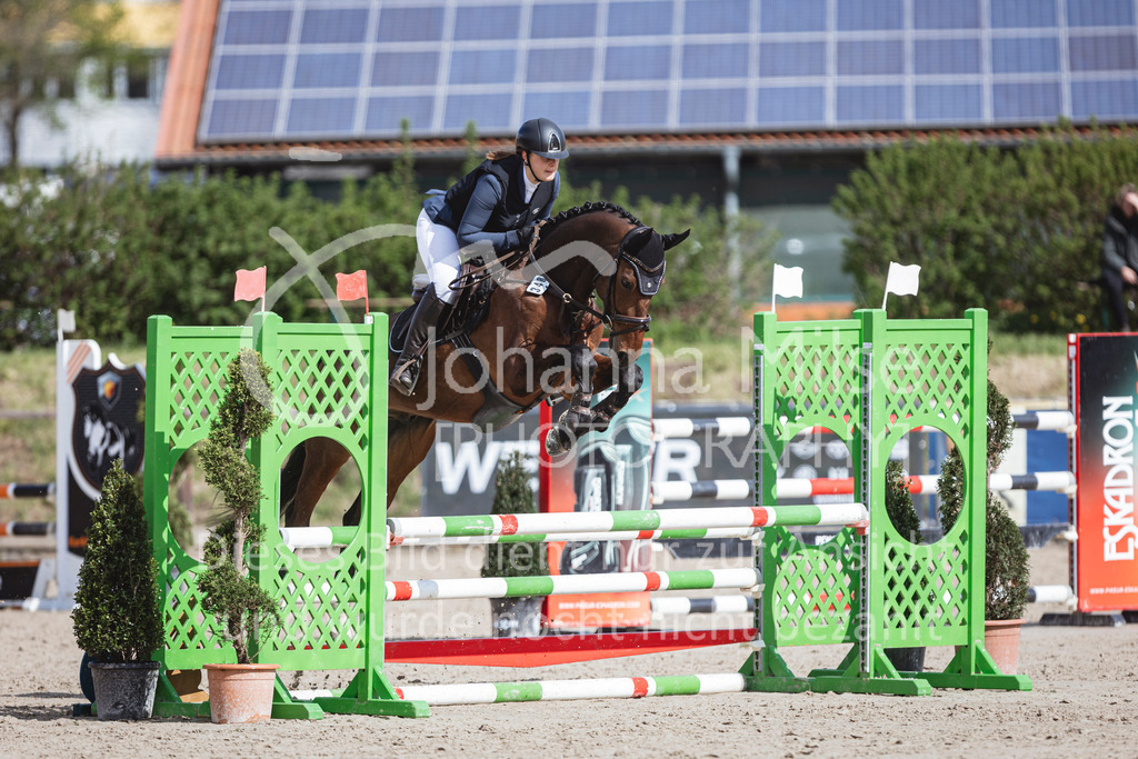 250419_Frühlingsfest_A-Stil1-436 | Deine schönsten Turniermomente als professionelle Fotos! Entdecke hochwertige Pferdesport-Fotografie im Online-Shop. Jetzt Fotos finden & bestellen!