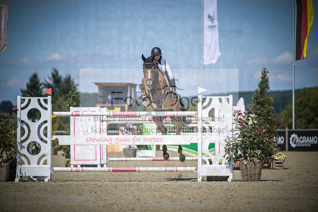 DOS_3887 | Entdecke hochwertige Reitturnierfotos von Foto Oger. Professionell, emotional und authentisch – jetzt Lieblingsmomente im Shop bestellen.Deutschlandweite Turnierfotografie. - Realisiert mit Pictrs.com