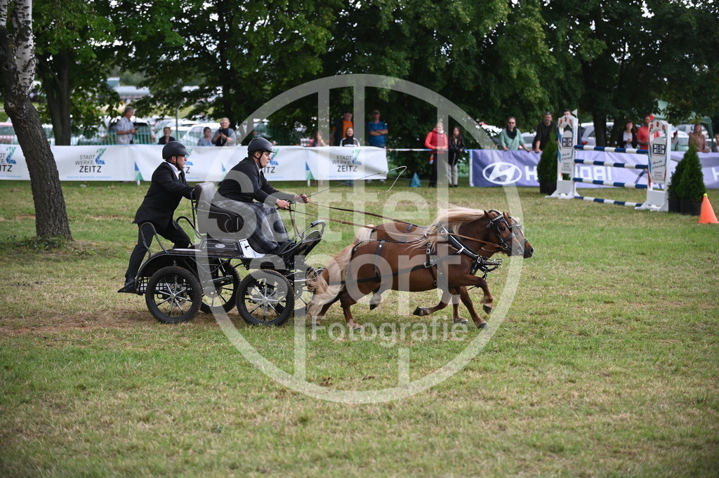 DSC_8564 | sattelsport - Realisiert mit Pictrs.com