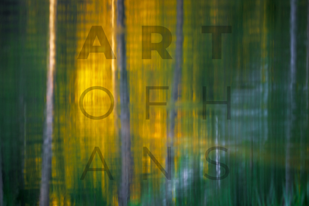 Ein Hans Fineart Original | Entdecke die Kunst von Hans Fineart - Fotografien für dein Zuhause. Verwandle deine Wände mit einzigartigen Kunstwerken und bringe die Schönheit der Welt in dein Leben. Bestelle jetzt und schaffe einen Ort der Inspiration und Eleganz.