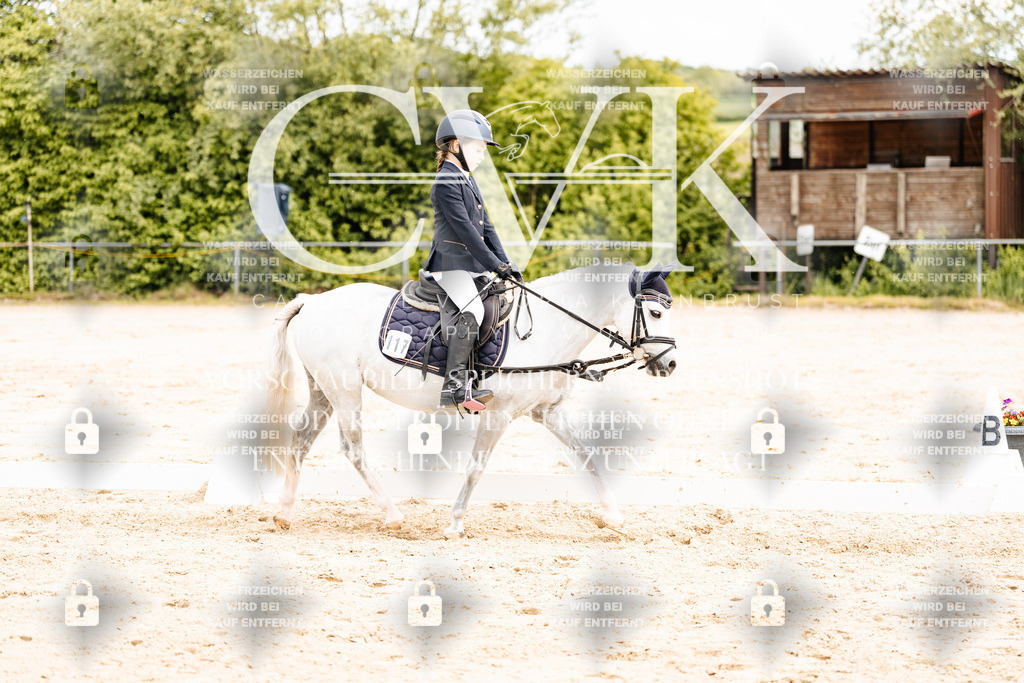 CK904477 | Turnierfotografie Pferdefotografie Trier Rheinland-Pfalz Pferdesport Reitsport Tierfotografie Sportfotografie Pferdevideo Pferdevideografie Equestrianvideography equestrianphotography  - Realisiert mit Pictrs.com