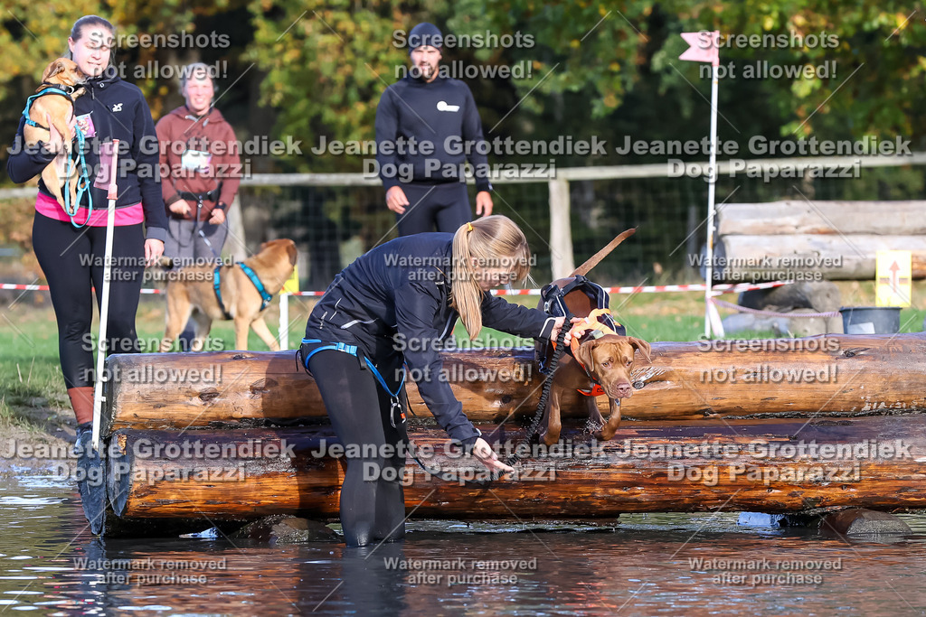 Dog Paparazzi - Strongdog 10-25-8549 | Dog Paparazzi Jeanette Grottendiek Fotografie & Videografie - Realisiert mit Pictrs.com