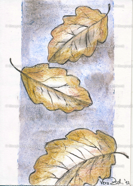 Blatt für Blatt | Zeichnung von Vera Zschecked exclusiv auf titusgraphy.eu - Realisiert mit Pictrs.com