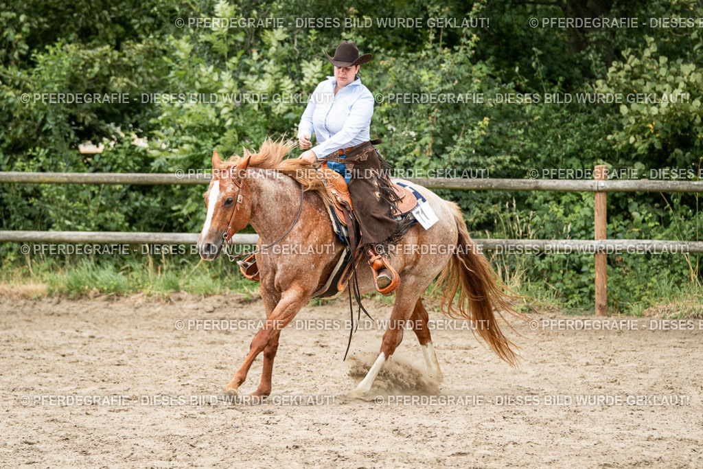 DSC02855 | Pferdegrafie