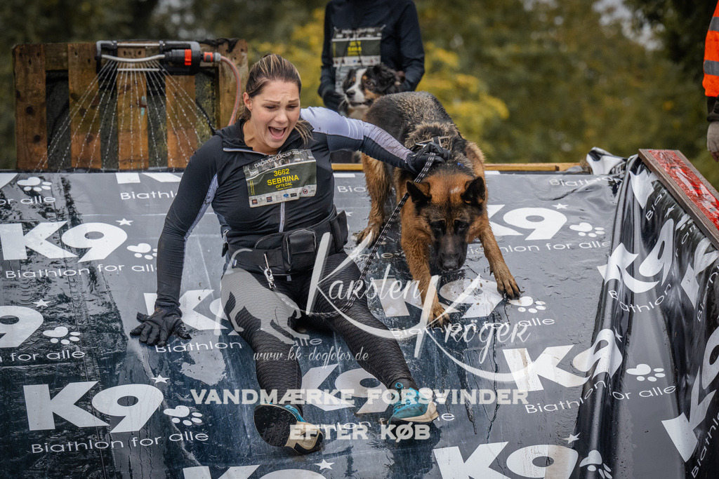 1210_ZZ94569 | kk-dogfotos