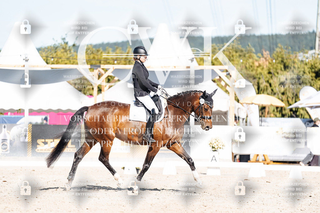 CK908027 | Turnierfotografie Pferdefotografie Trier Rheinland-Pfalz Pferdesport Reitsport Tierfotografie Sportfotografie Pferdevideo Pferdevideografie Equestrianvideography equestrianphotography  - Realisiert mit Pictrs.com