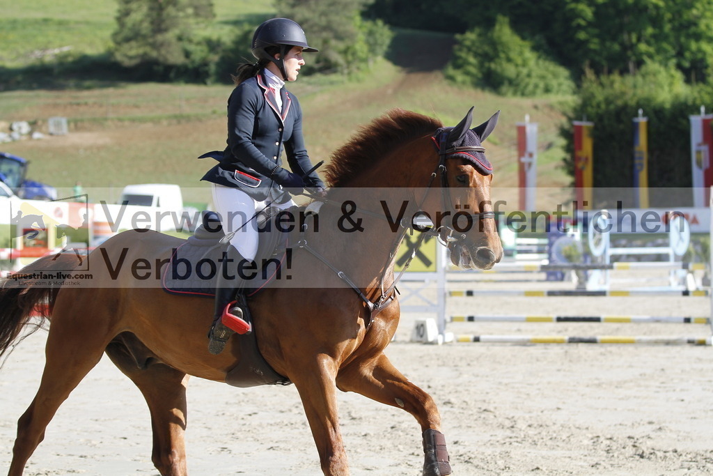_MG_8373 | equestrian-live-com