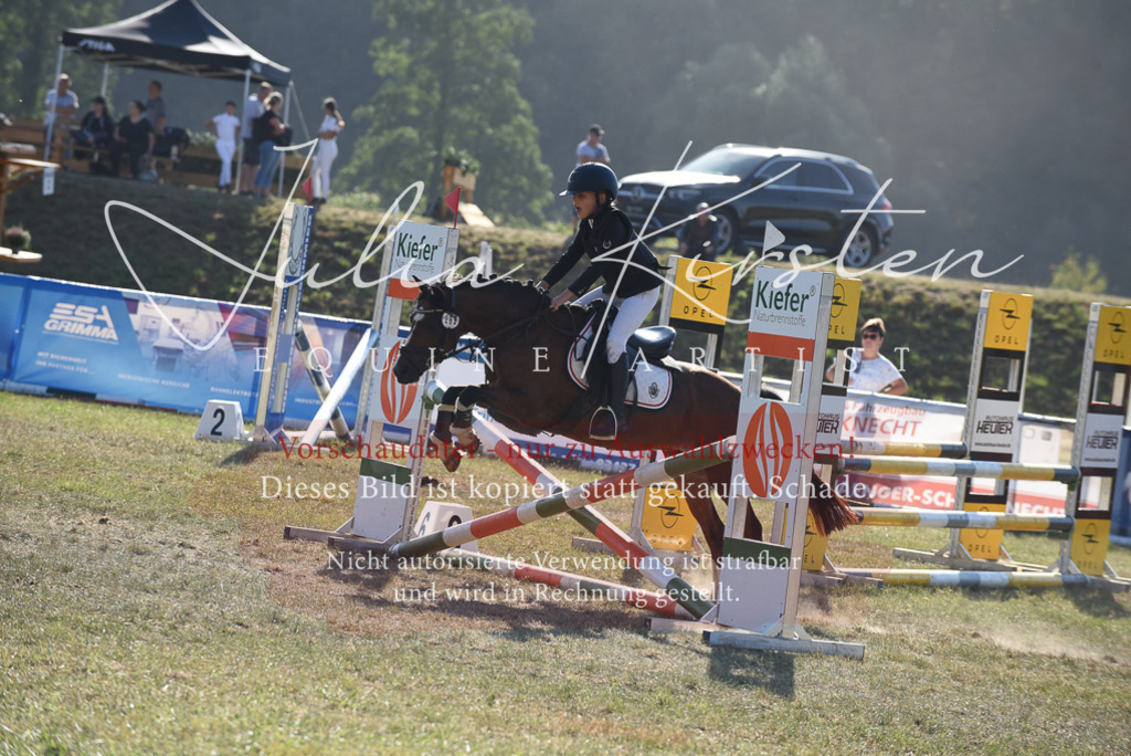 DSC_5773 | Pferde- und Turnierfotografie in Westsachsen. Pferdeportraits, Auftragszeichnungen und intuitive Kunst.