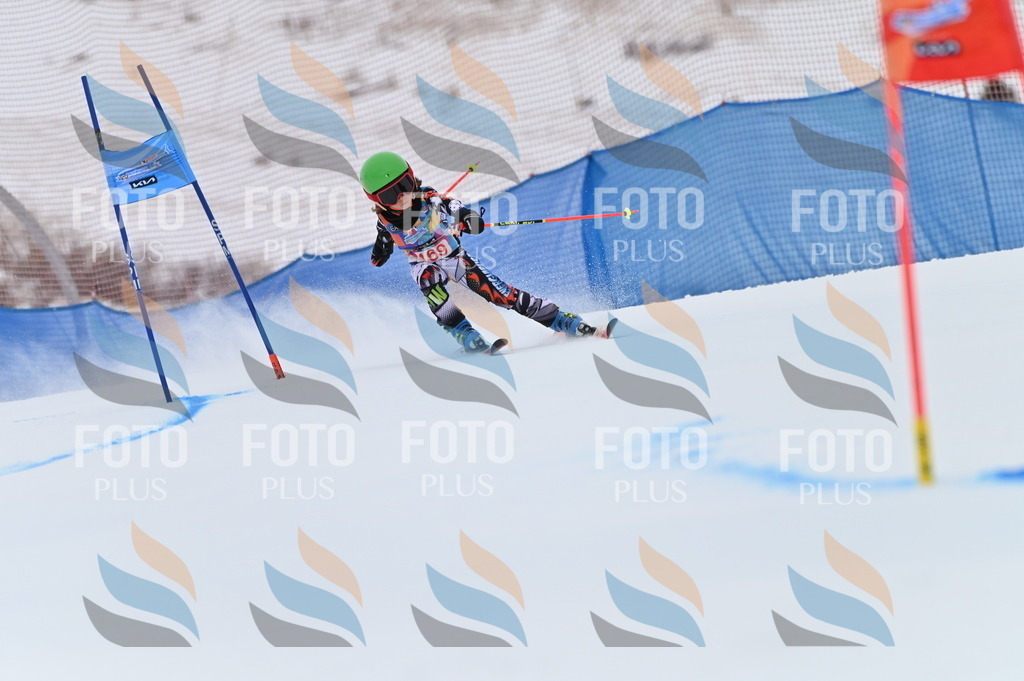 BGV_0523 | holidayphoto