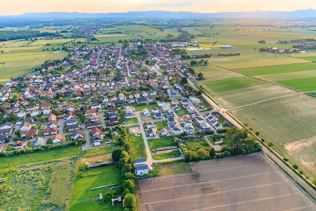 Luftbild: Dorfansicht am Abend aus Osten in Minfeld im Bundesland Rheinland-Pfalz in Deutschland. Foto: IMG_100549.jpg vom 01.06.2017 durch Werner Riehm/FLY-FOTO.de