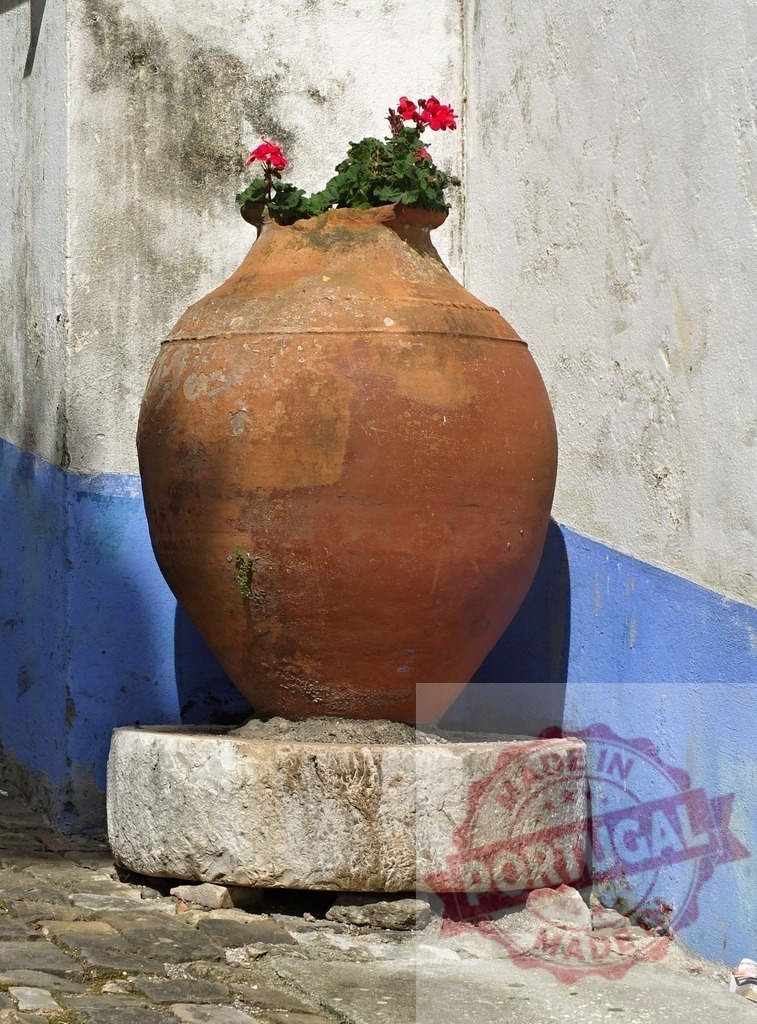 Terracotta amphora pot holding red flowers by blue wall | Terracotta amphora pot holding red geranium flowers stands against a blue and white painted wall - Realisiert mit Pictrs.com