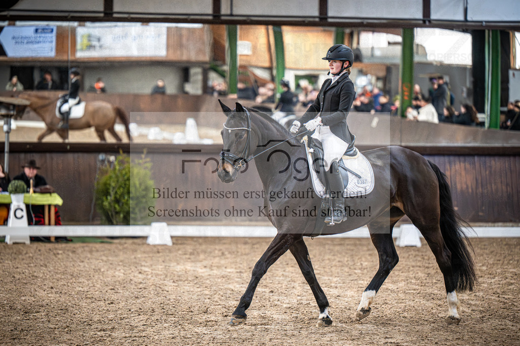 DOS_0632 | Entdecke hochwertige Reitturnierfotos von Foto Oger. Professionell, emotional und authentisch – jetzt Lieblingsmomente im Shop bestellen.Deutschlandweite Turnierfotografie. - Realisiert mit Pictrs.com
