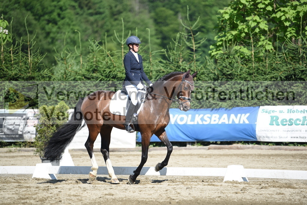 DSC_7788 | equestrian-live-com