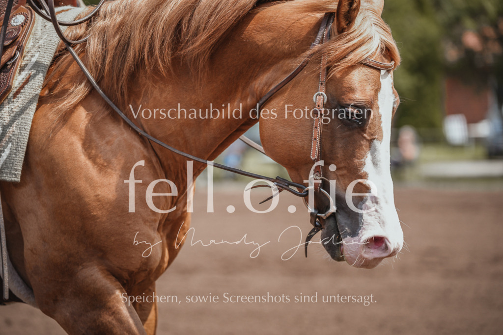 fell.o.fie_mandyjordan_2024_06_05563 | Mandy Klecke Fellfotografie, fell.o.fie Fotografenshop - Realisiert mit Pictrs.com