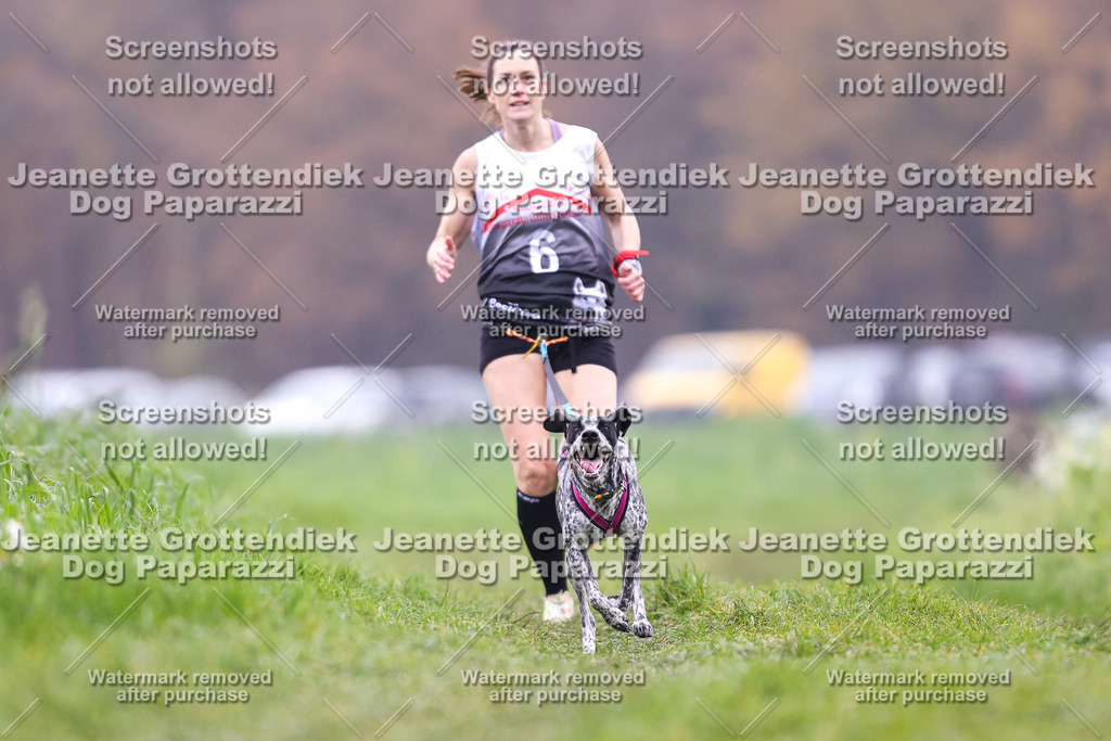 Dog Paparazzi - Visbeck 25 -796 | Dog Paparazzi Jeanette Grottendiek Fotografie & Videografie - Realisiert mit Pictrs.com