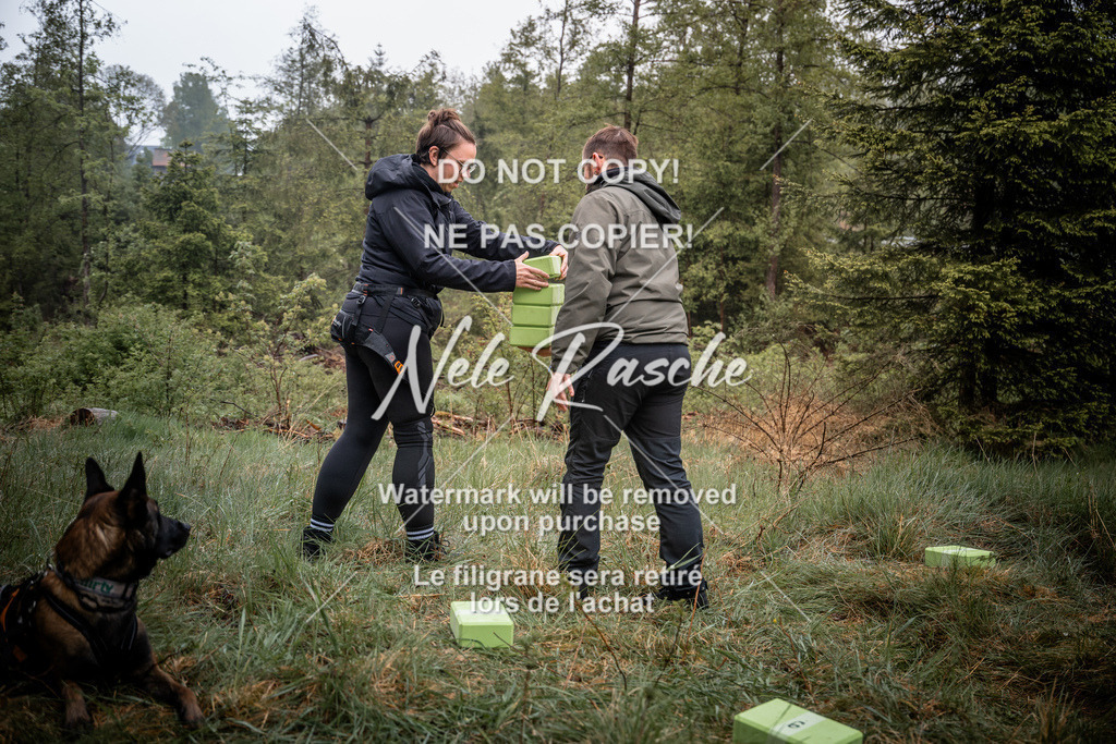 nelerasche_SoUnterwegs_14 | nelerasche