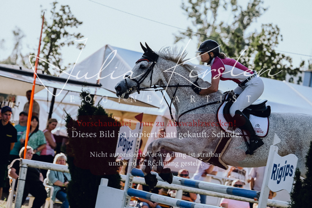 DSC_3023 | Pferde- und Turnierfotografie in Westsachsen. Pferdeportraits, Auftragszeichnungen und intuitive Kunst.