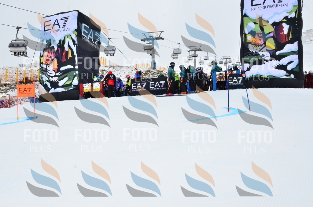 _ELE3074 | holidayphoto