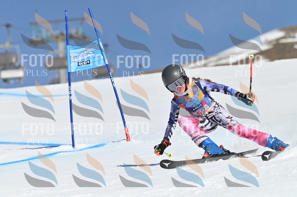 BGV_8578 | holidayphoto