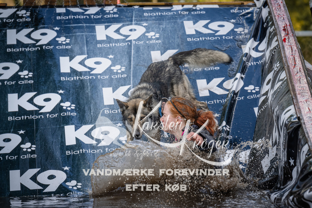 1541_ZZ90567 | kk-dogfotos