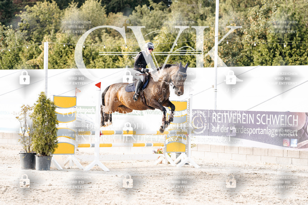CK907072 | Turnierfotografie Pferdefotografie Trier Rheinland-Pfalz Pferdesport Reitsport Tierfotografie Sportfotografie Pferdevideo Pferdevideografie Equestrianvideography equestrianphotography  - Realisiert mit Pictrs.com