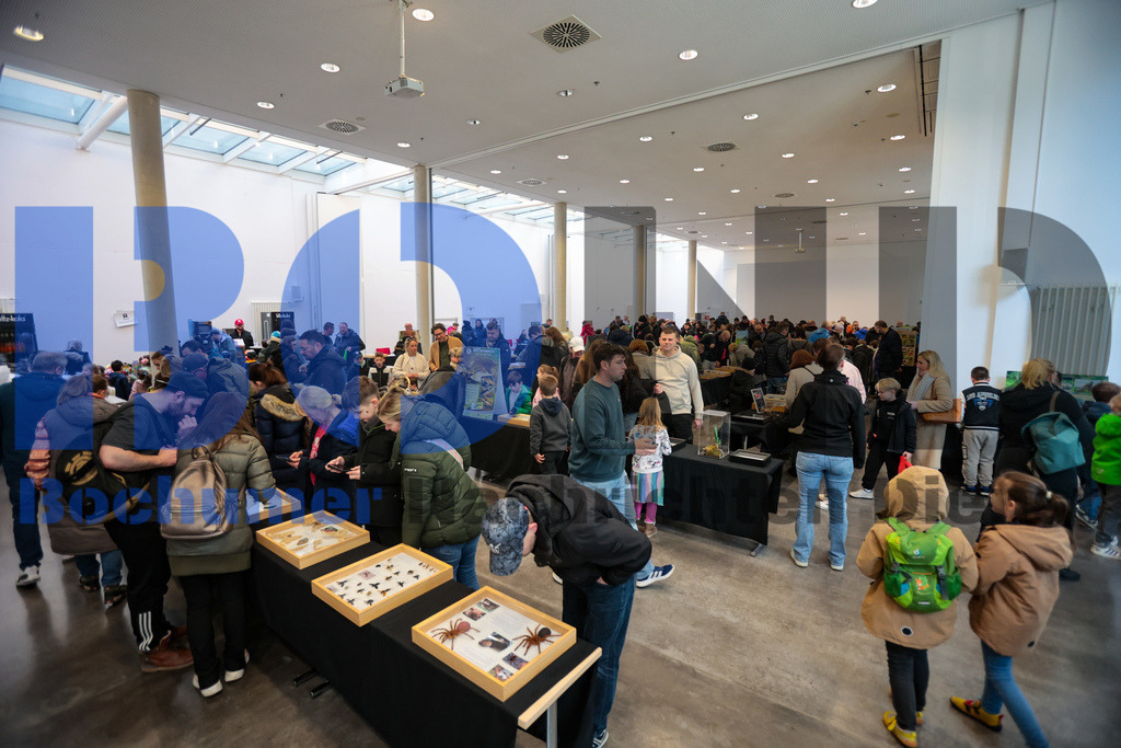 SES_INSBOC20250316-21 | bond - Realisiert mit Pictrs.com