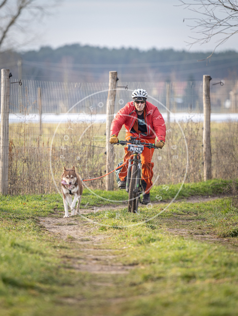 Pfotenfotografie_DV3A6704 | Hundefotografie, Tierfotograf, Pfotenfotografie, Fotoshooting Hund, Hunde Portrait, Hundesport, Hundeportraits, Heideshooting, Hunde, Sportfotograf, Hundefotograf, Turnierhundsport, THS,  - Realisiert mit Pictrs.com