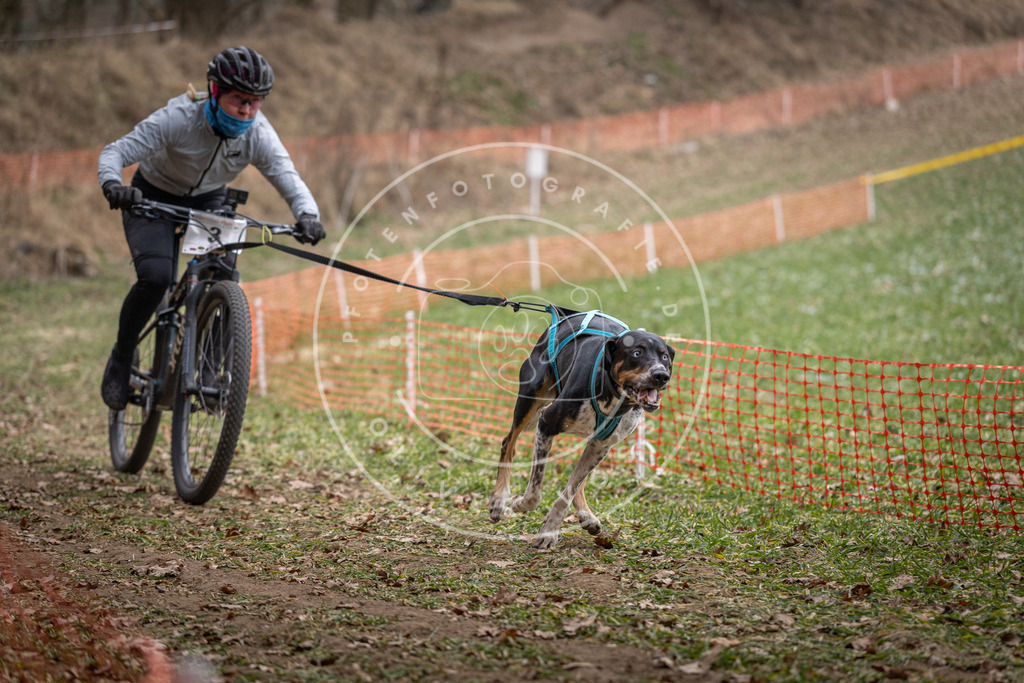 Pfotenfotografie_DV3A6224 | Hundefotografie, Tierfotograf, Pfotenfotografie, Fotoshooting Hund, Hunde Portrait, Hundesport, Hundeportraits, Heideshooting, Hunde, Sportfotograf, Hundefotograf, Turnierhundsport, THS,  - Realisiert mit Pictrs.com