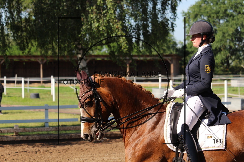 IMG_6423 | franziskalange - Realisiert mit Pictrs.com