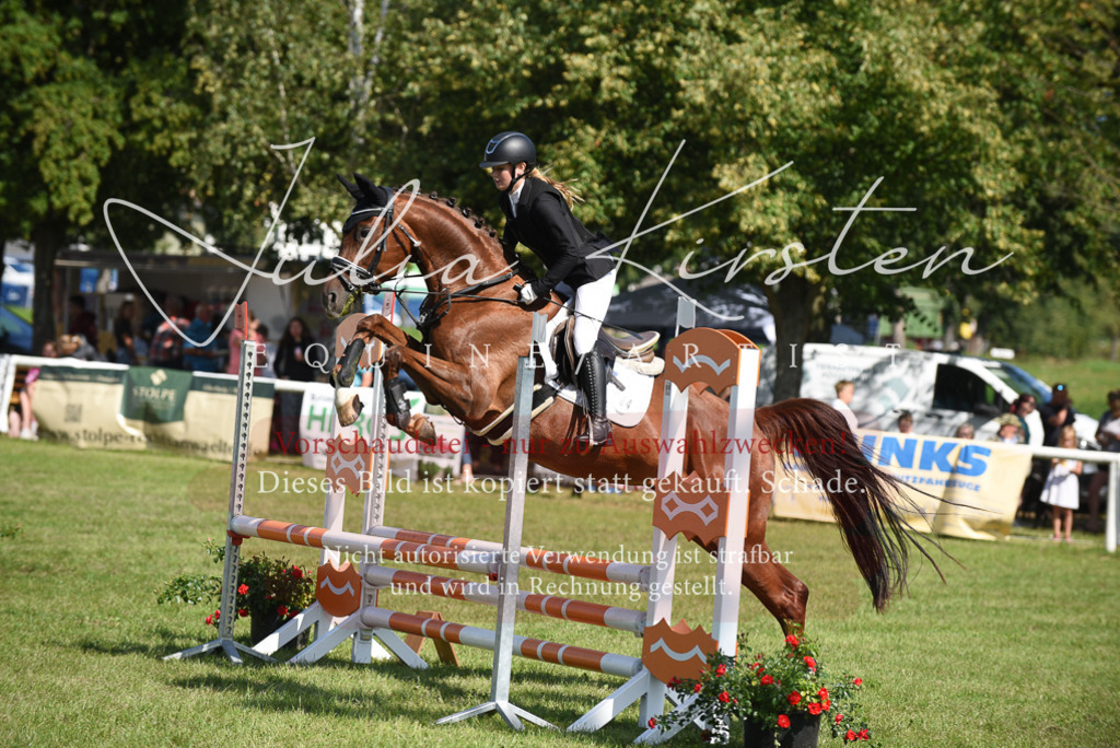 DSC_9176 | Pferde- und Turnierfotografie in Westsachsen. Pferdeportraits, Auftragszeichnungen und intuitive Kunst.