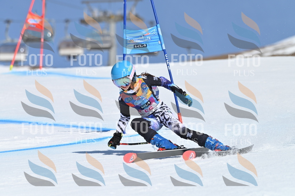 BGV_8836 | holidayphoto