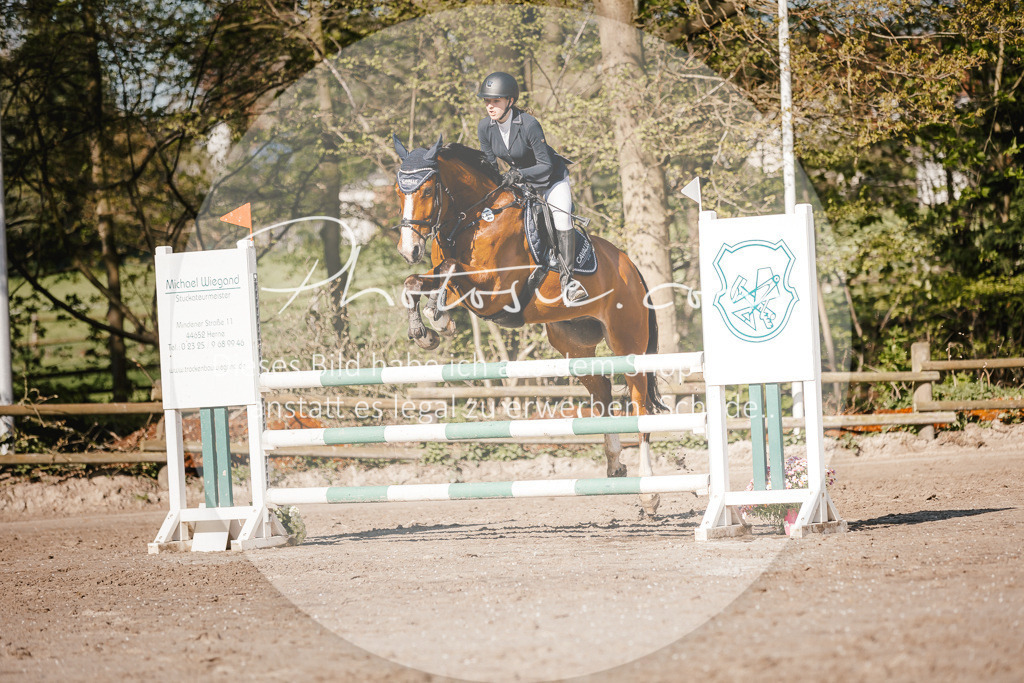 3I6A3634 | Stimmungsvolle Portraits und Reitsportfotografie im Ruhrgebiet und im Münsterland.

Pferdefotografie, Hundefotografie, Tierfotografie, Reportagen, Portraits von Tier und Mensch, Turnierfotografie in Bochum, Recklinghausen, Marl, Haltern am See, Dülmen.. - Realisiert mit Pictrs.com