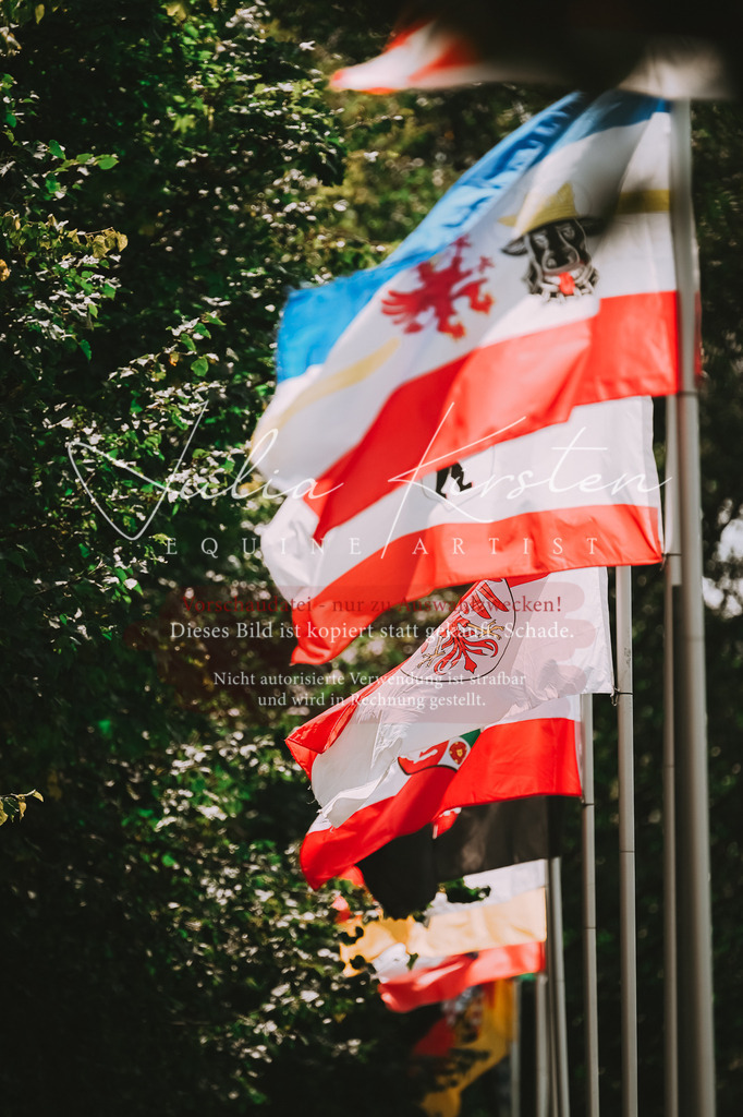 DSC_2754 | Pferde- und Turnierfotografie in Westsachsen. Pferdeportraits, Auftragszeichnungen und intuitive Kunst.