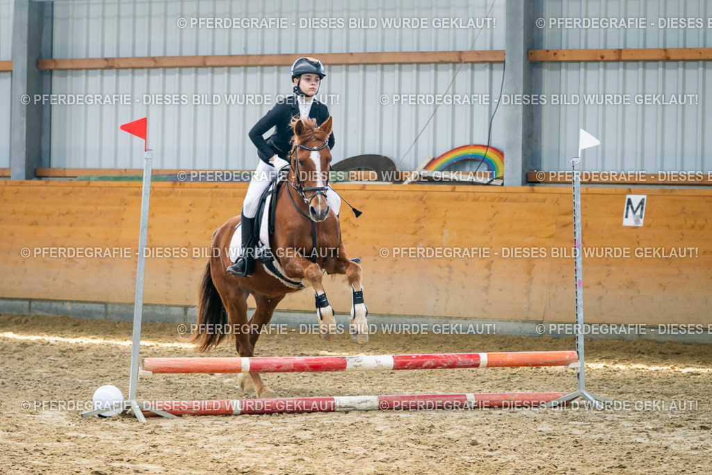 DSC01674 | Pferdegrafie