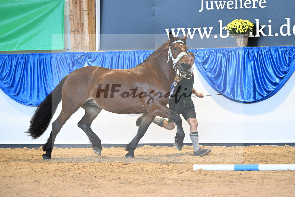 Kat-Nr. 67 Douglas_Scholz_53220250 | hf-fotografie - Realisiert mit Pictrs.com