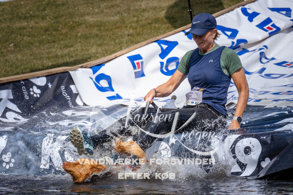_ZZ942000953 | kk-dogfotos