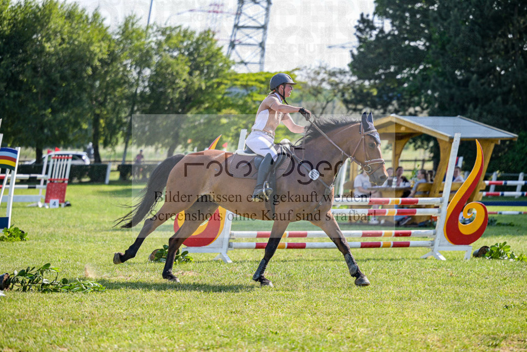 Reitturnier Voxtrup | Entdecke hochwertige Reitturnierfotos von Foto Oger. Professionell, emotional und authentisch – jetzt Lieblingsmomente im Shop bestellen. - Realisiert mit Pictrs.com