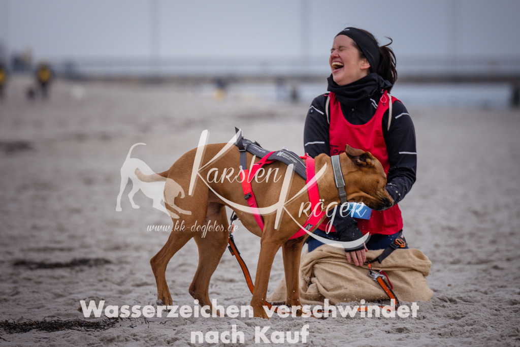 1206_ZZ92022 | kk-dogfotos