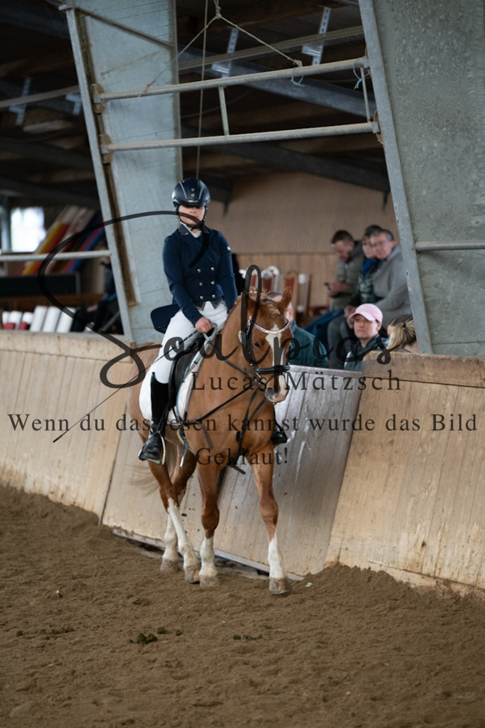 A7V04747 | Pferdefotograf