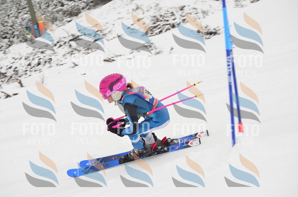 C1353 | holidayphoto