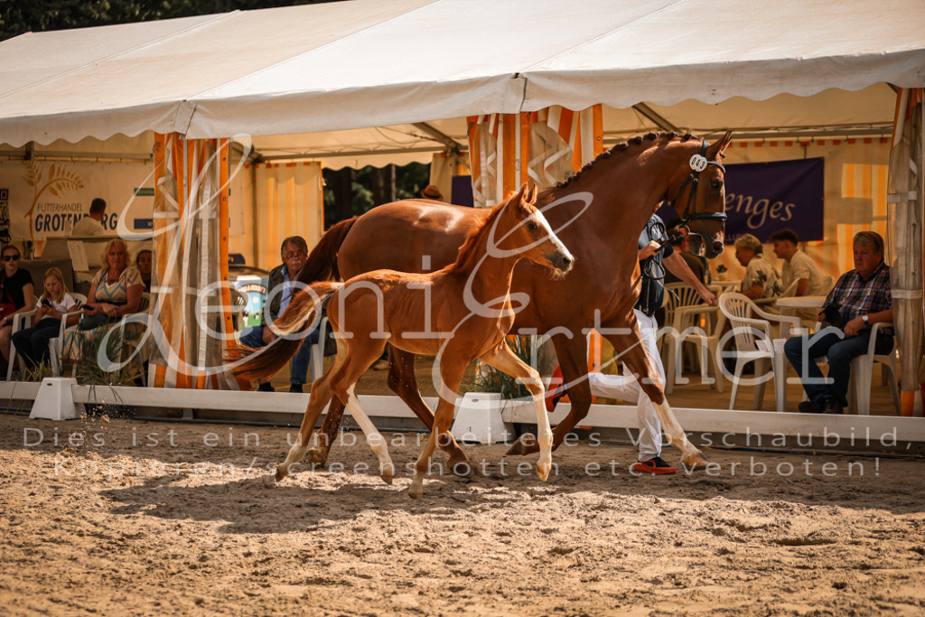 09.DoWBD00021 | Leoni Ertmer Photography - Realisiert mit Pictrs.com