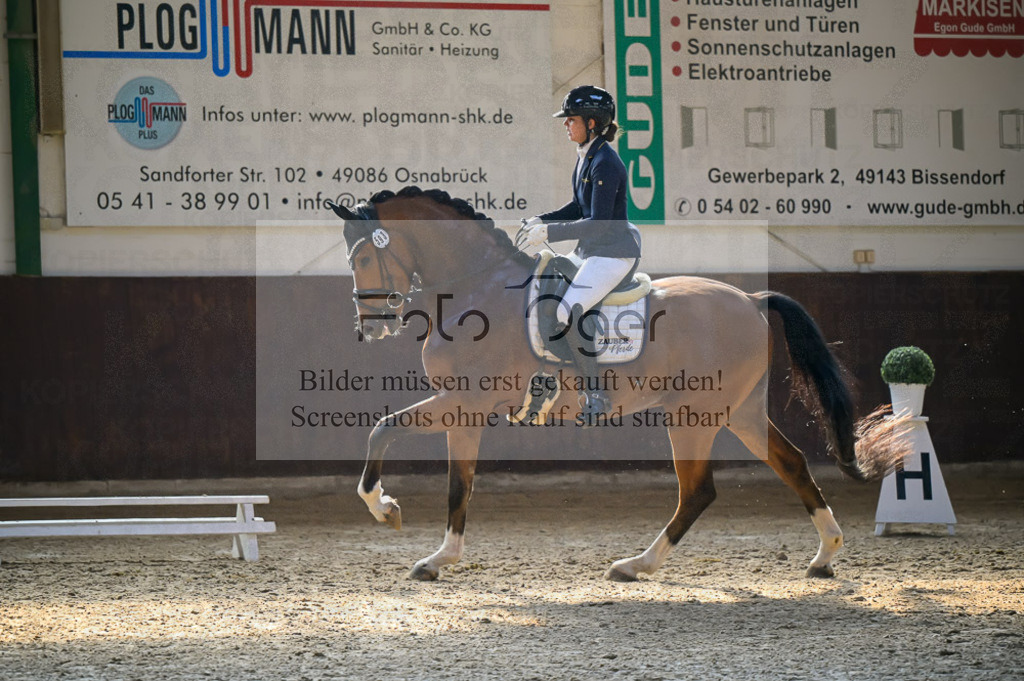 Reitturnier Voxtrup | Entdecke hochwertige Reitturnierfotos von Foto Oger. Professionell, emotional und authentisch – jetzt Lieblingsmomente im Shop bestellen.Deutschlandweite Turnierfotografie. - Realisiert mit Pictrs.com